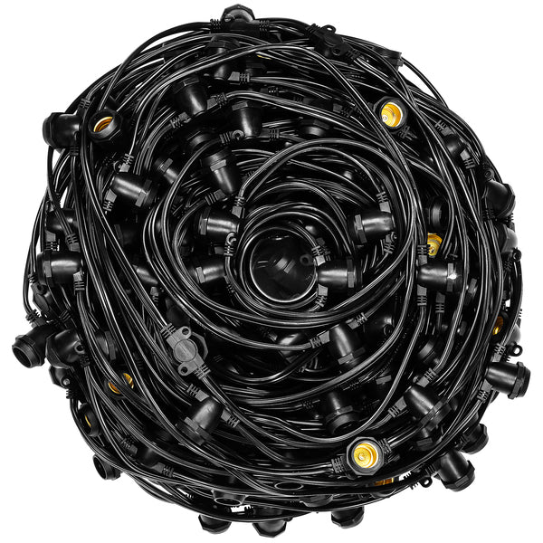 String Lights (100 Ft)